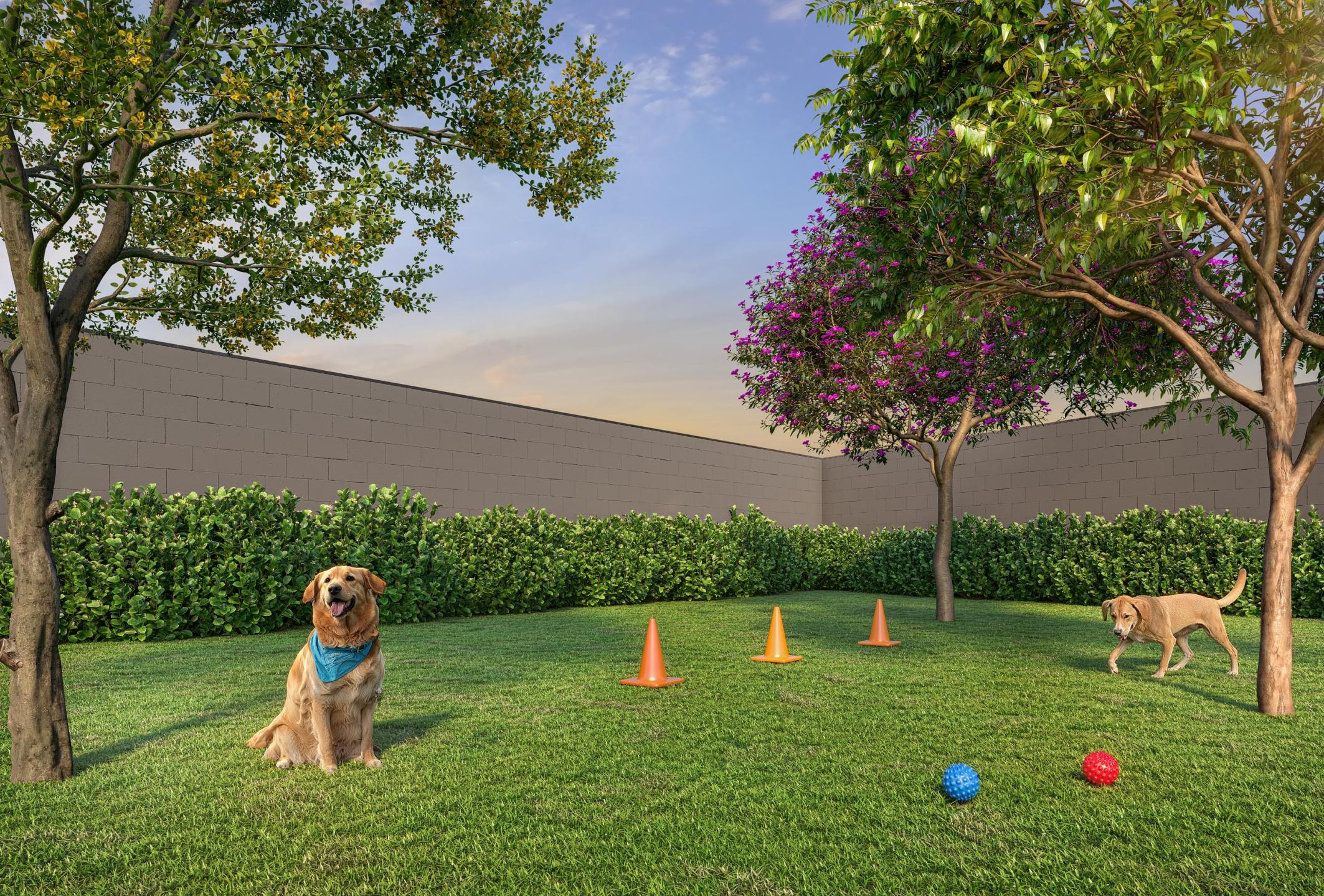 Pet Place