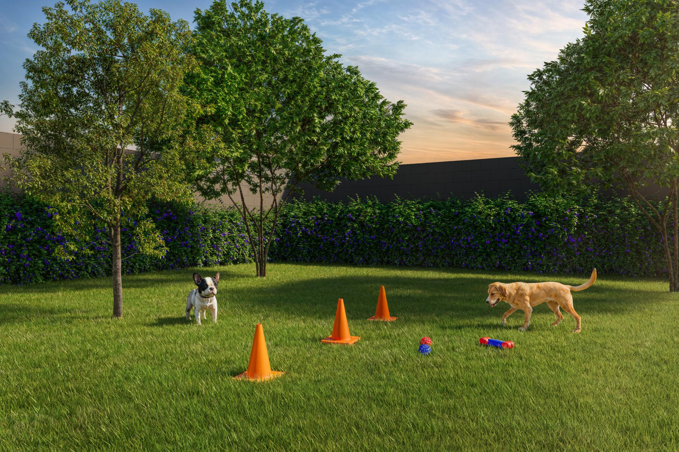 Pet Place