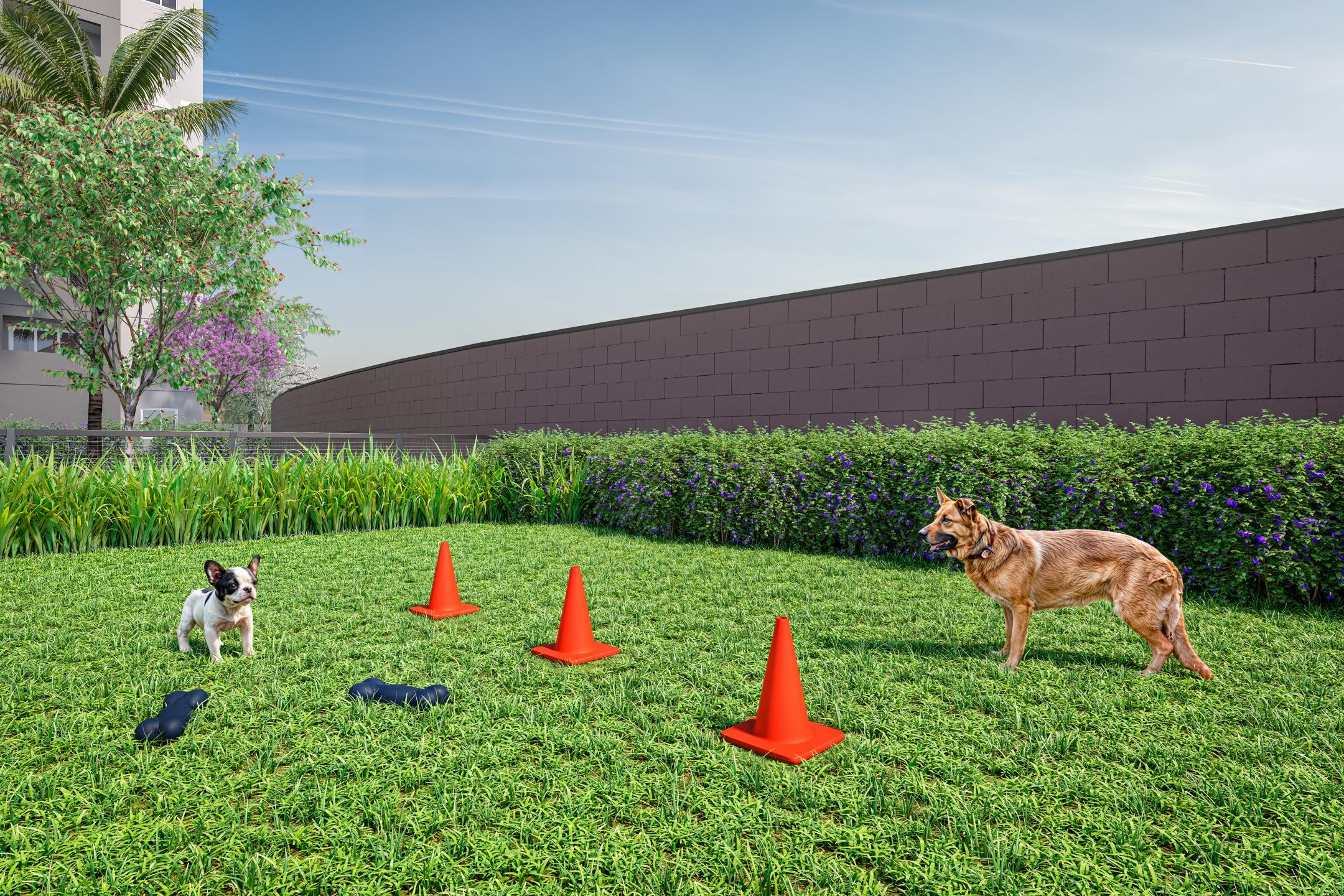 Pet Place