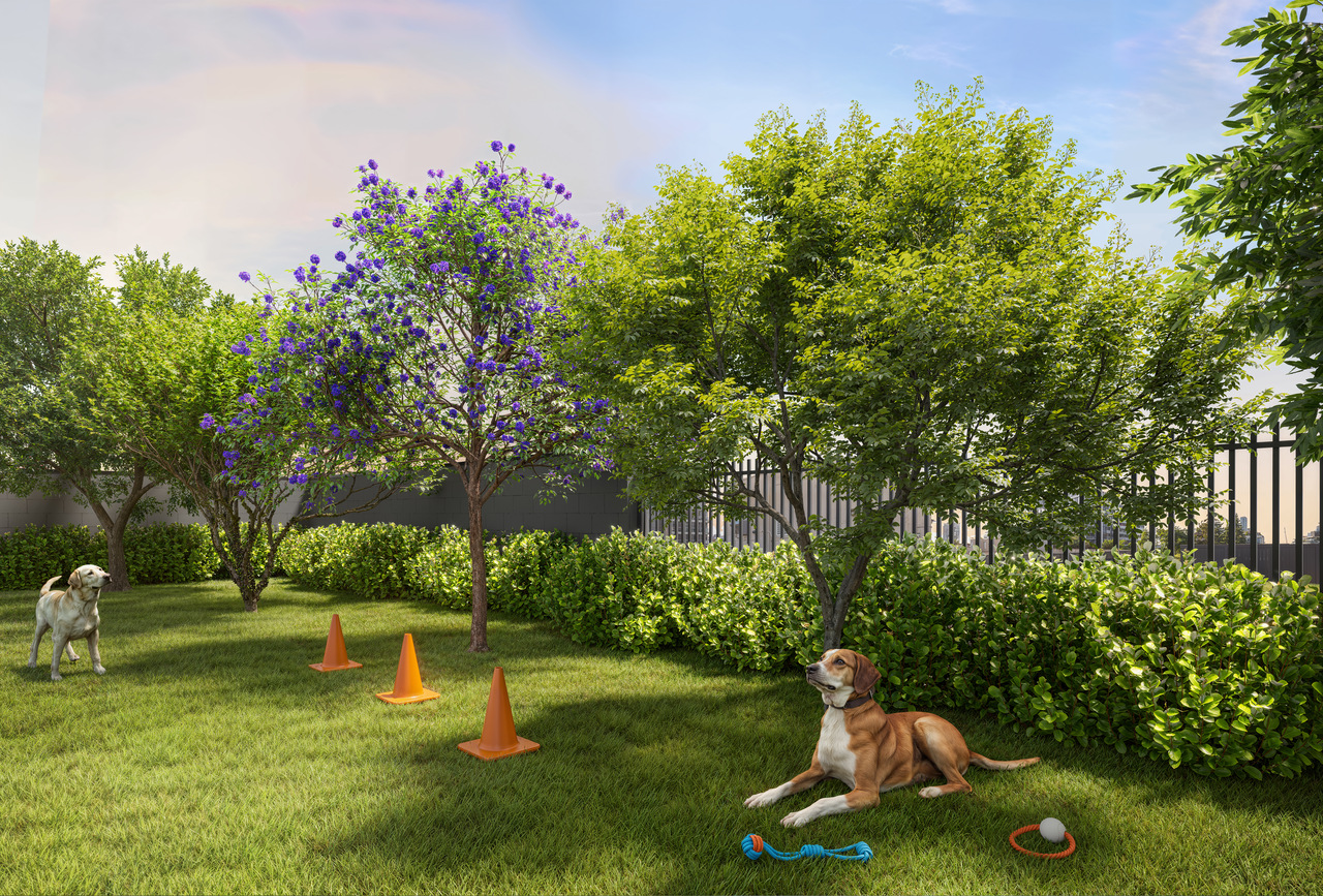 Pet Place