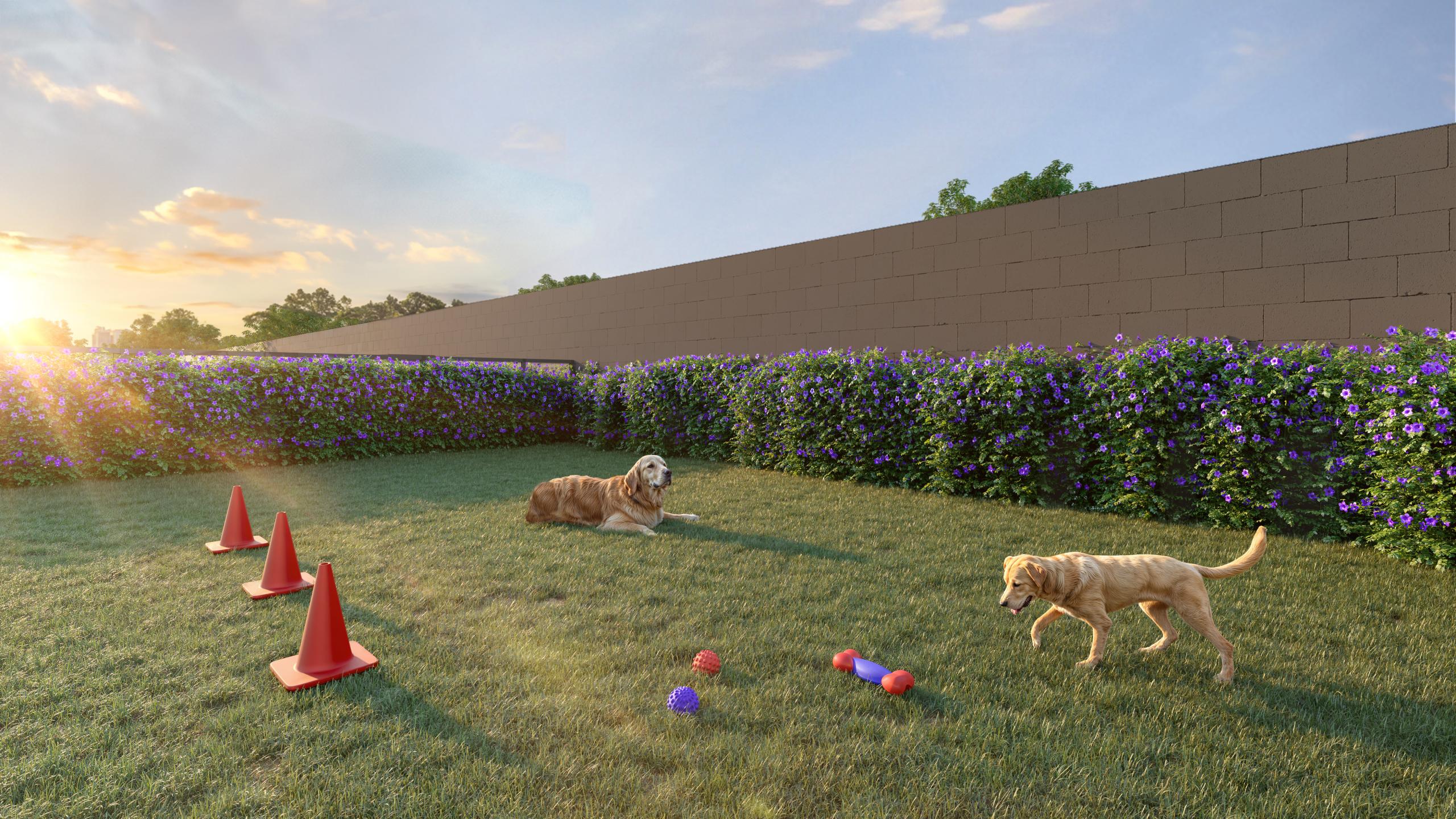 Pet Place