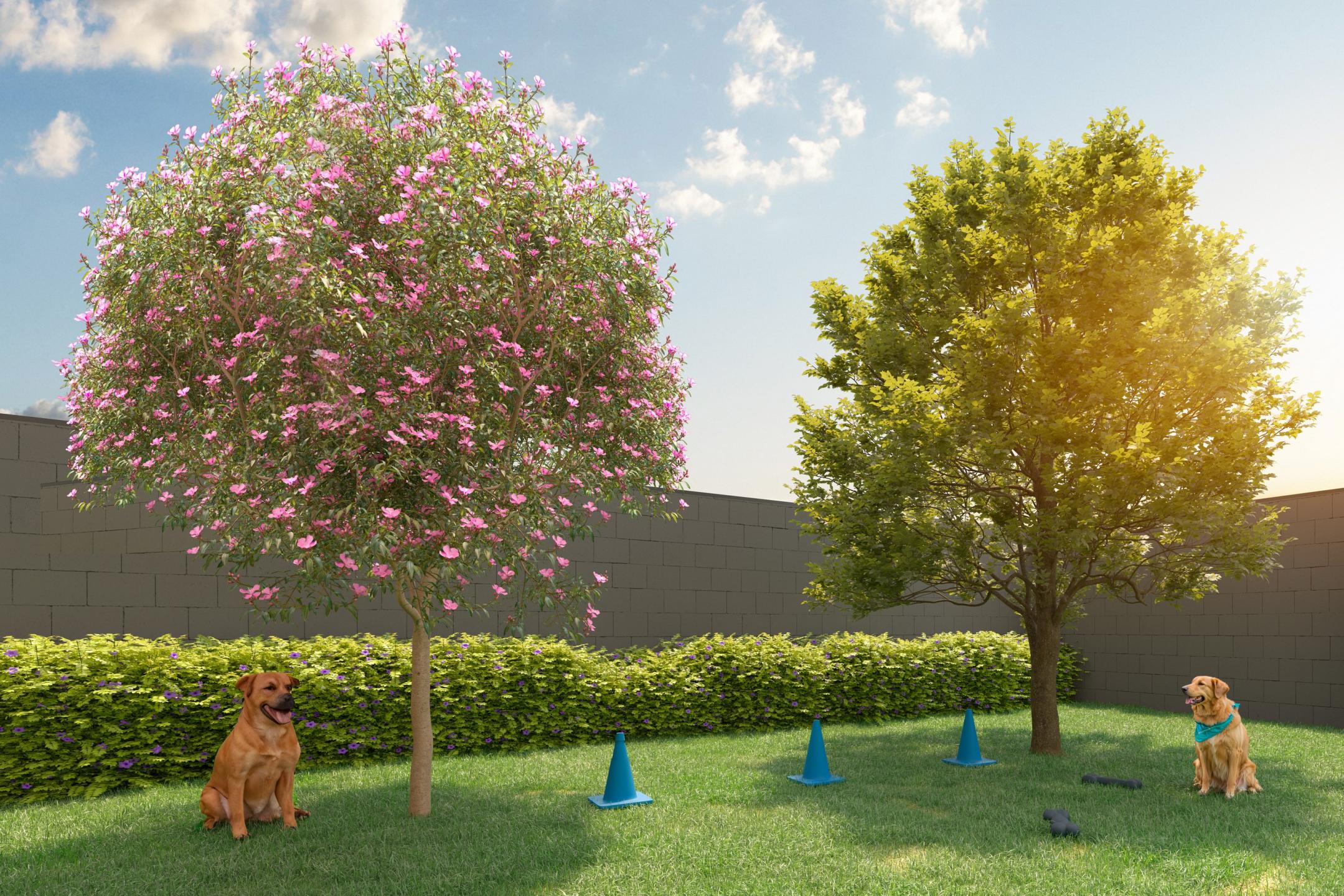 Pet Place