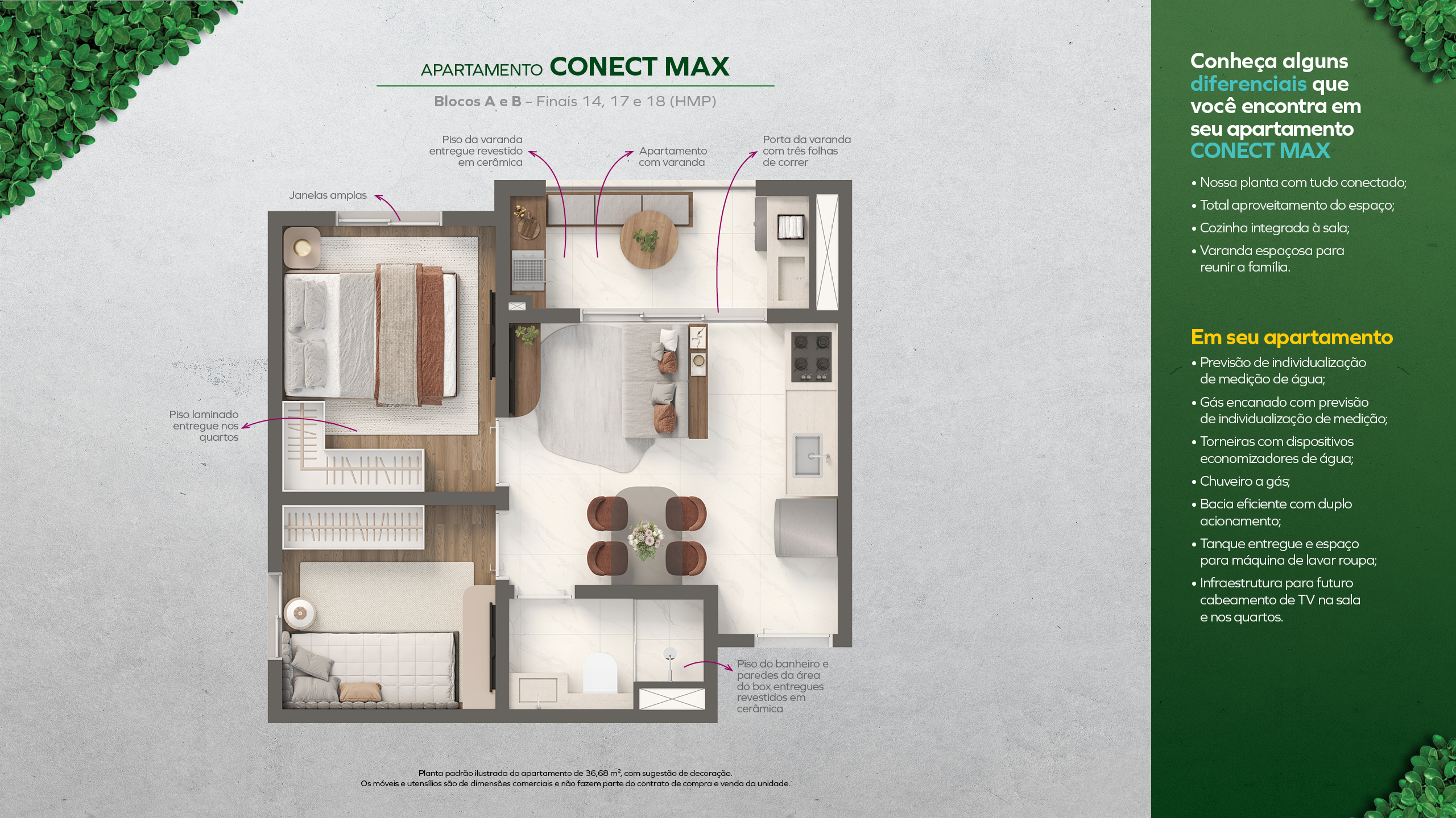Conect Max