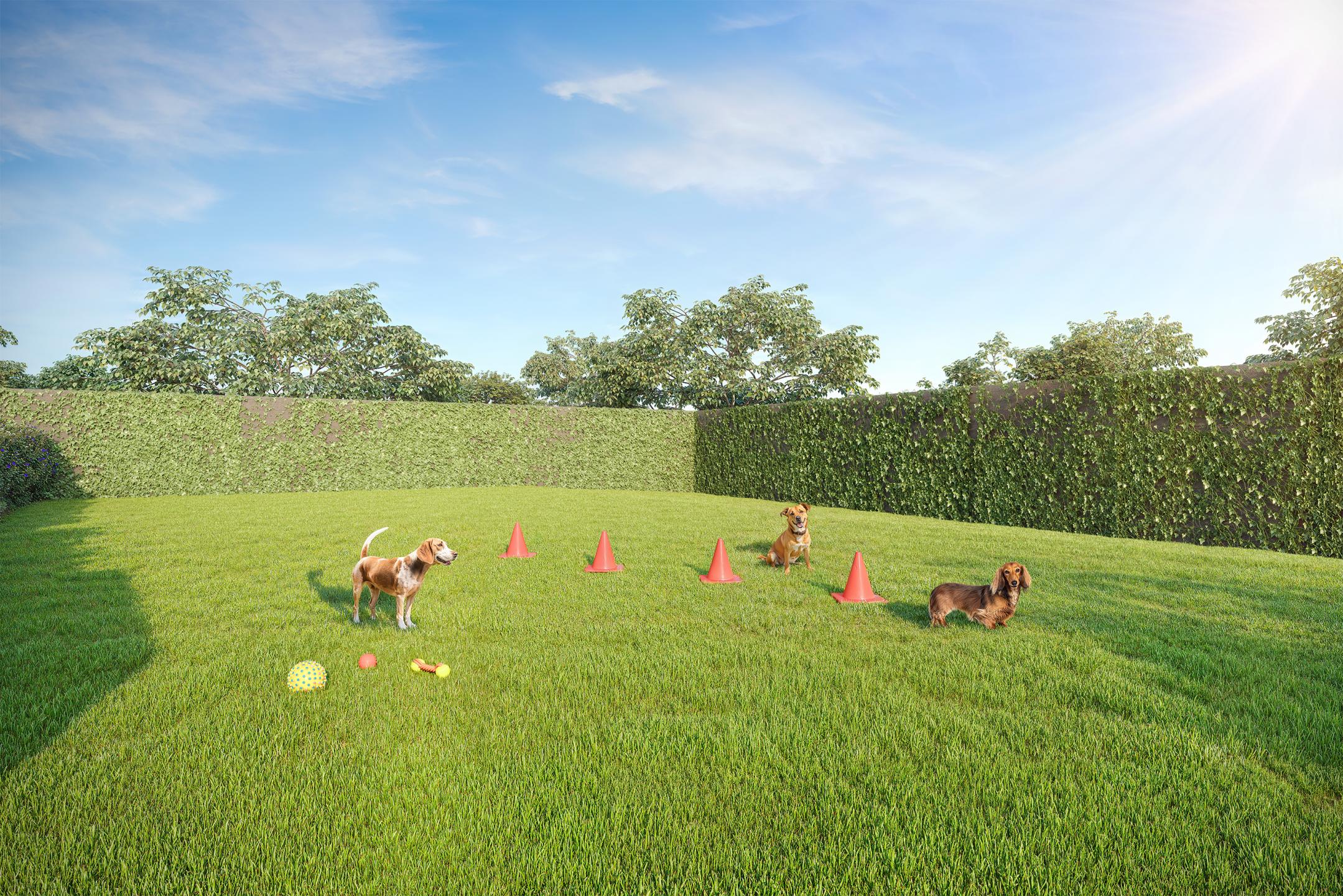 Pet Place