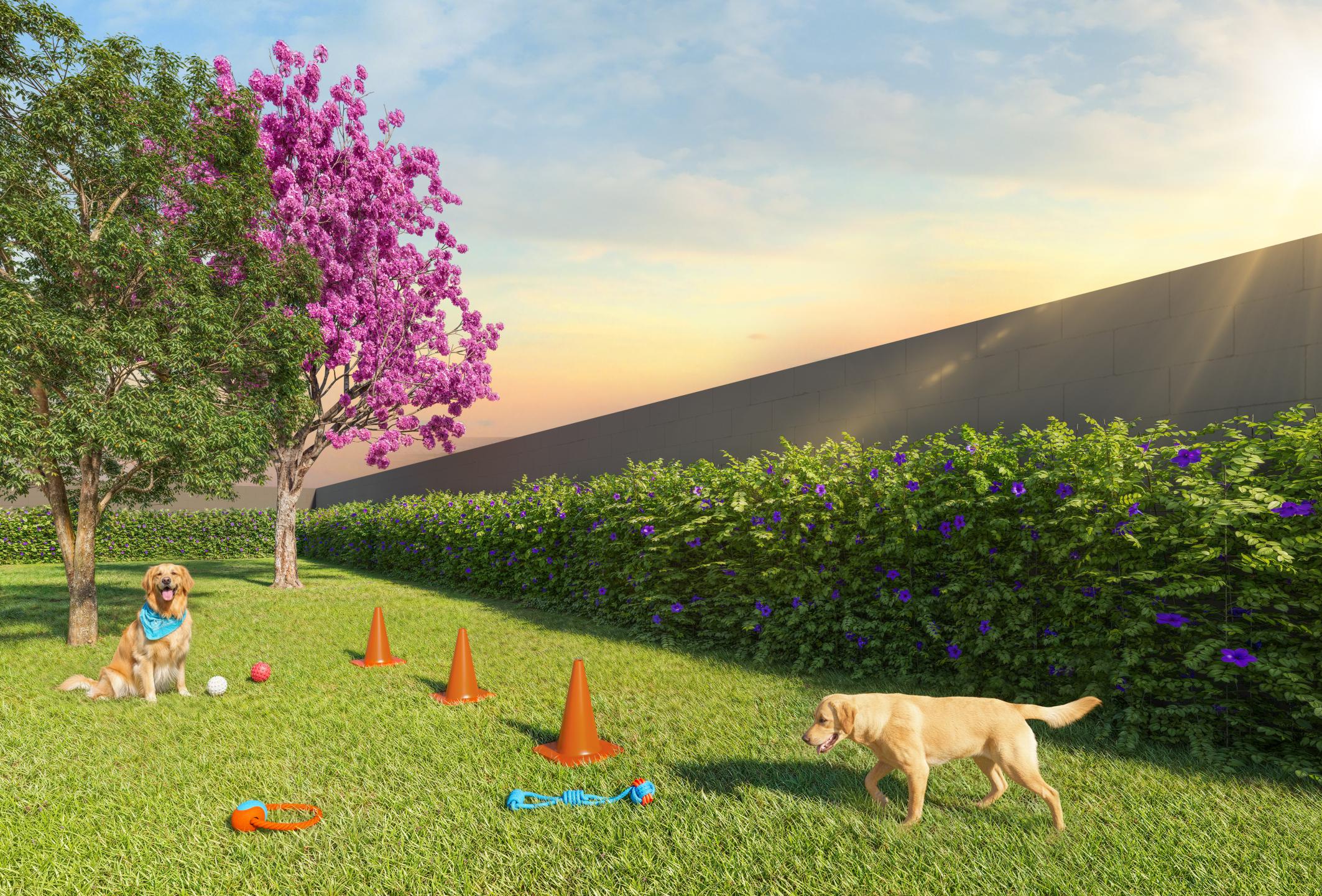 Pet Place