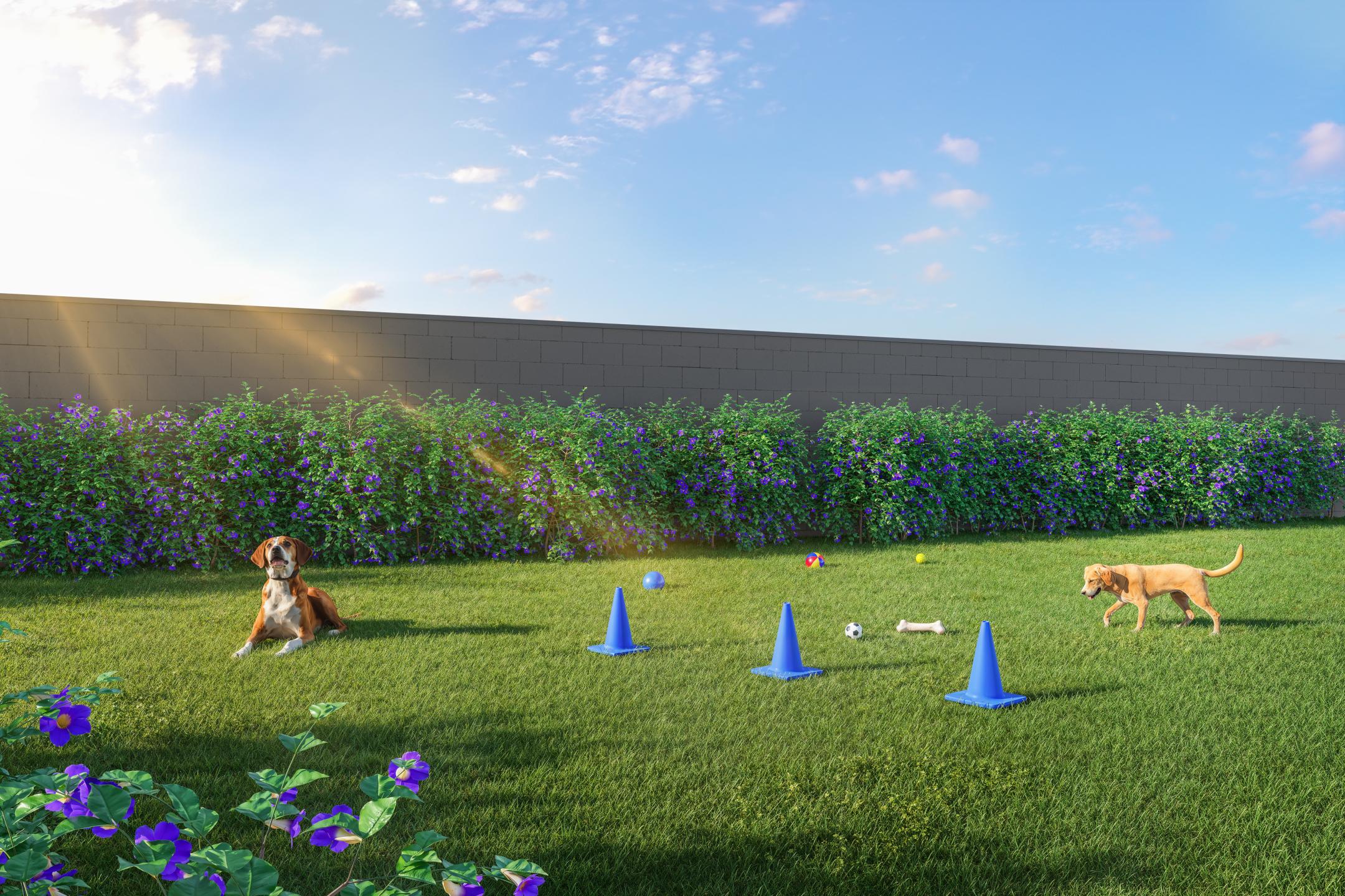 Pet Place