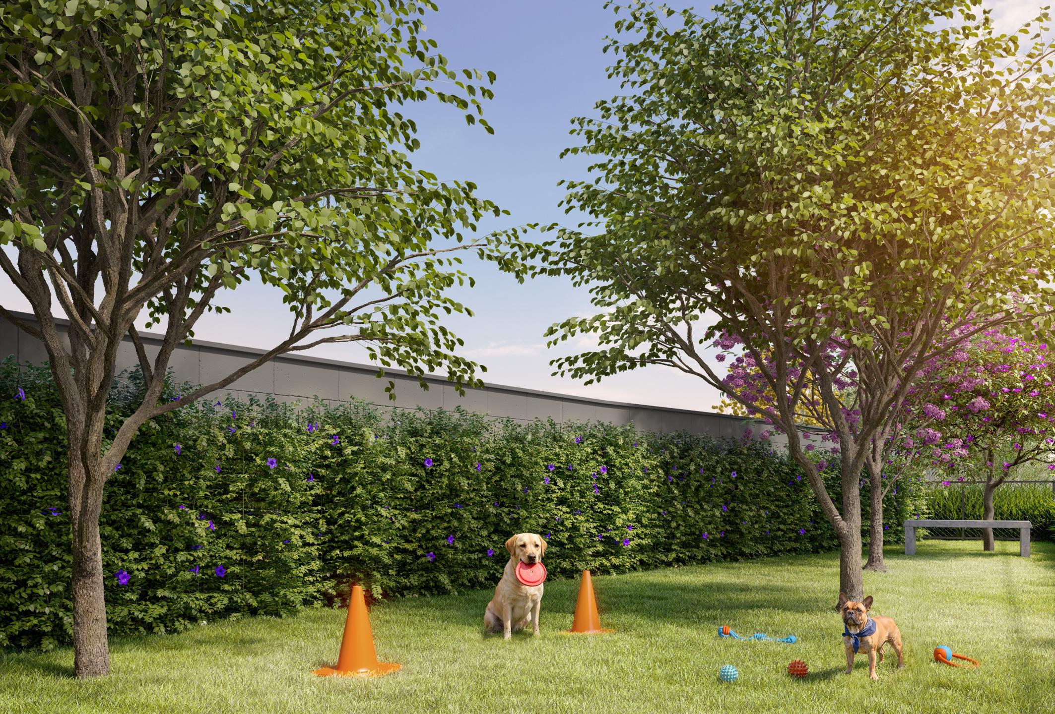 Pet Place