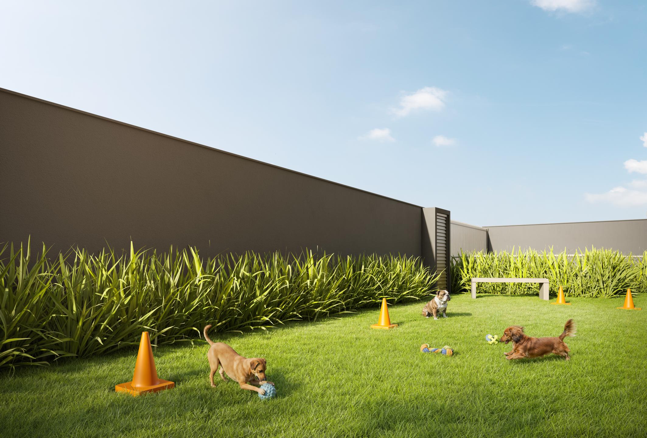 Pet Place