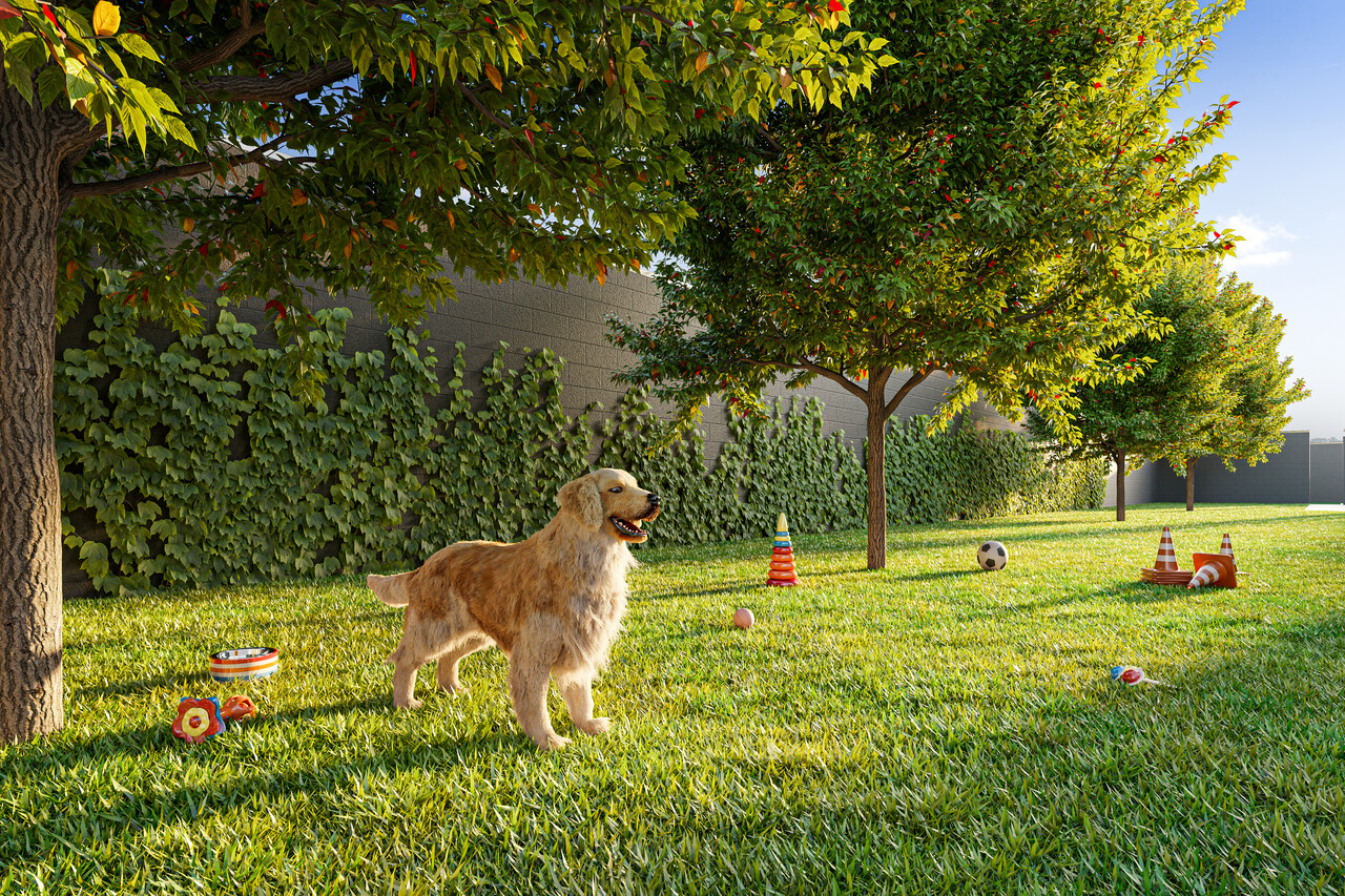 Pet Place