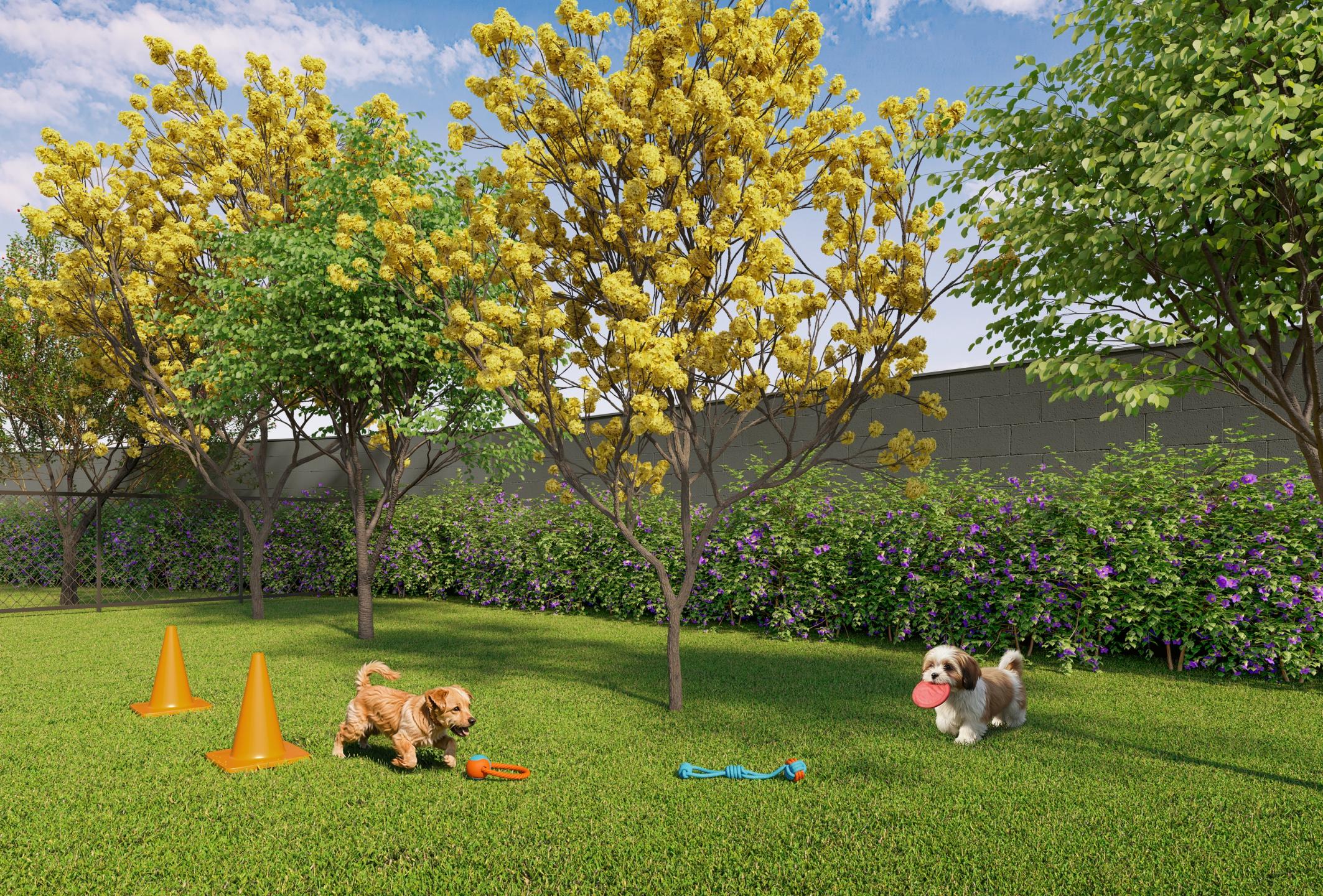 Pet Place