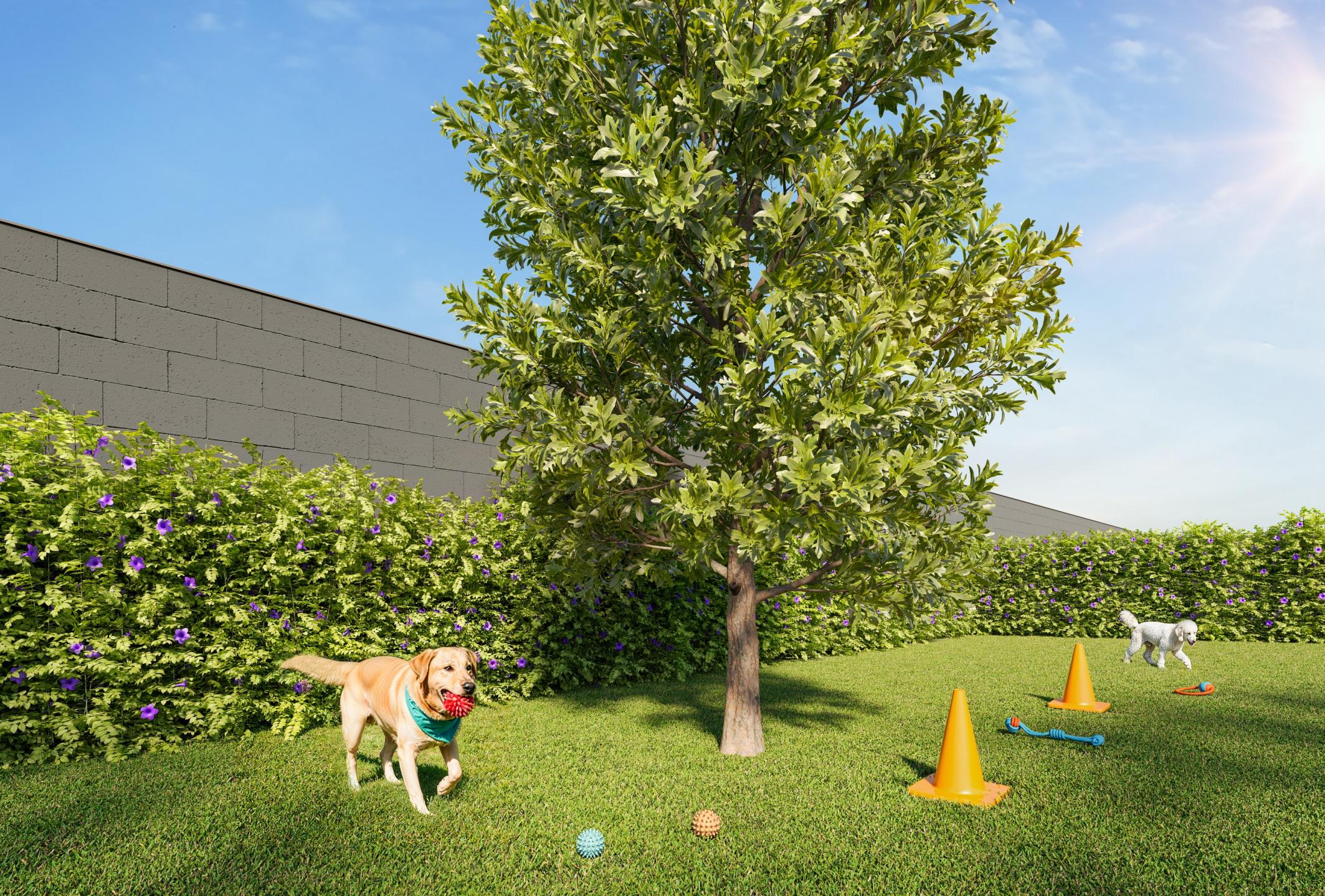 Pet Place