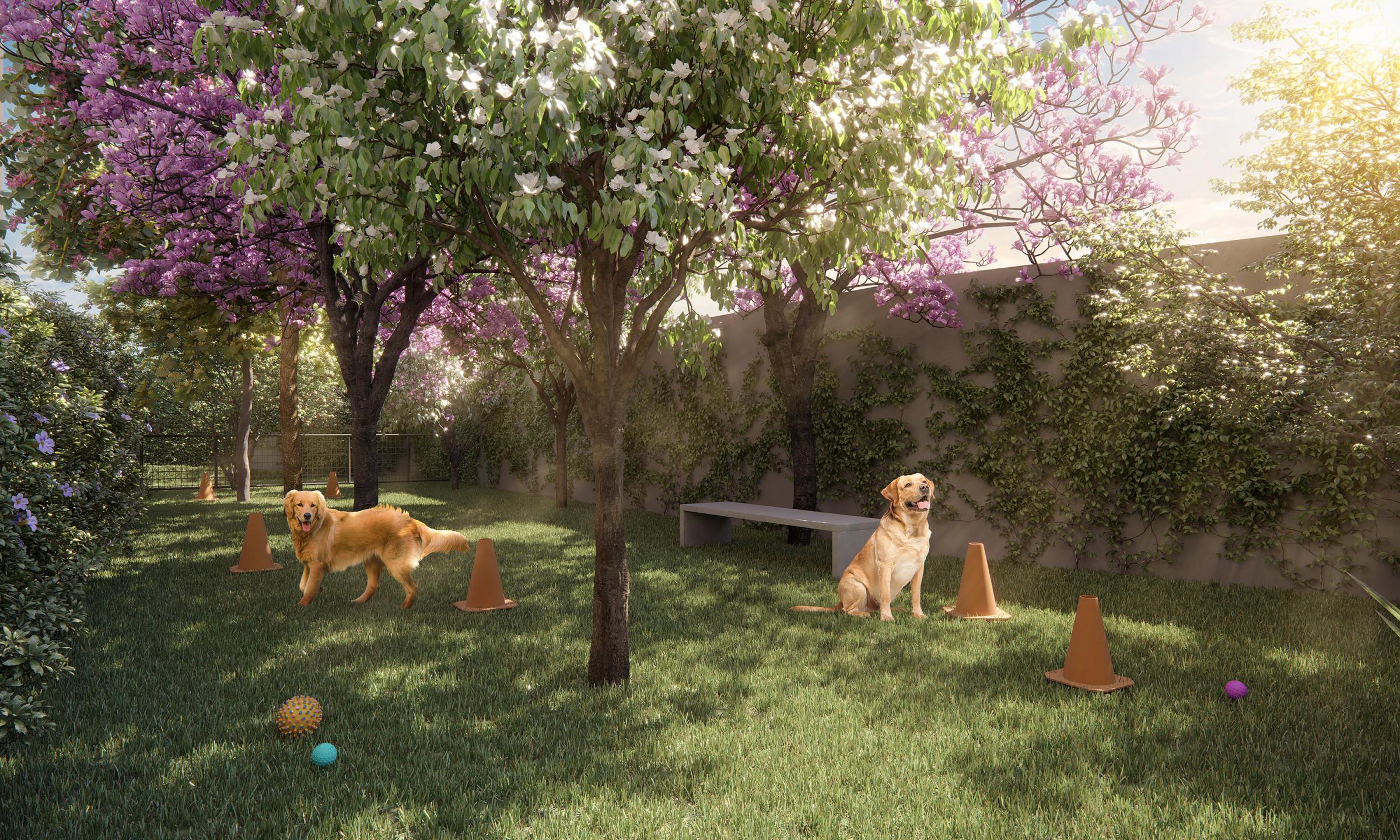 Pet Place