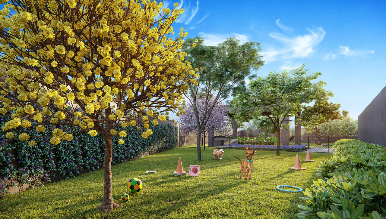 Pet Place