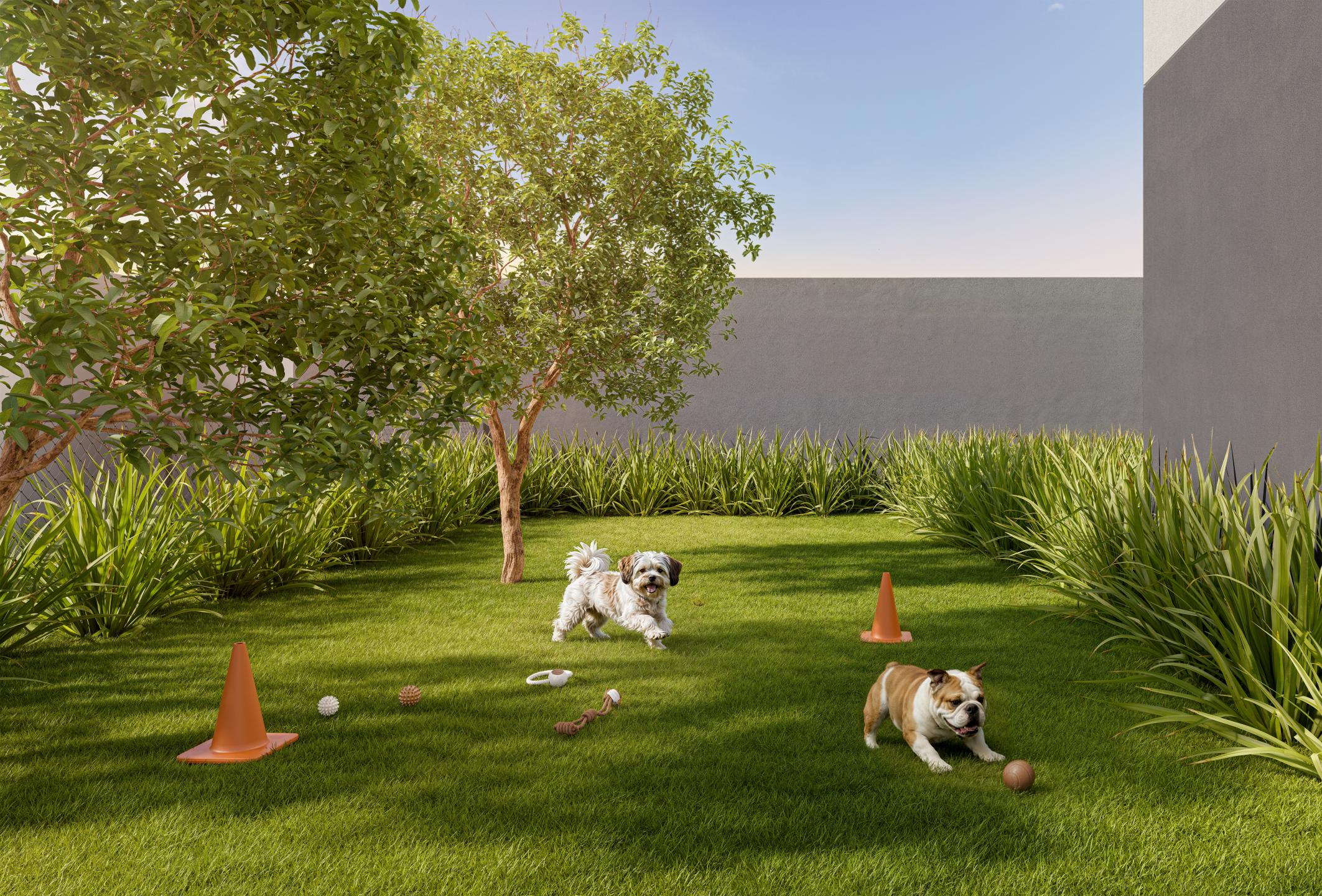Pet Place