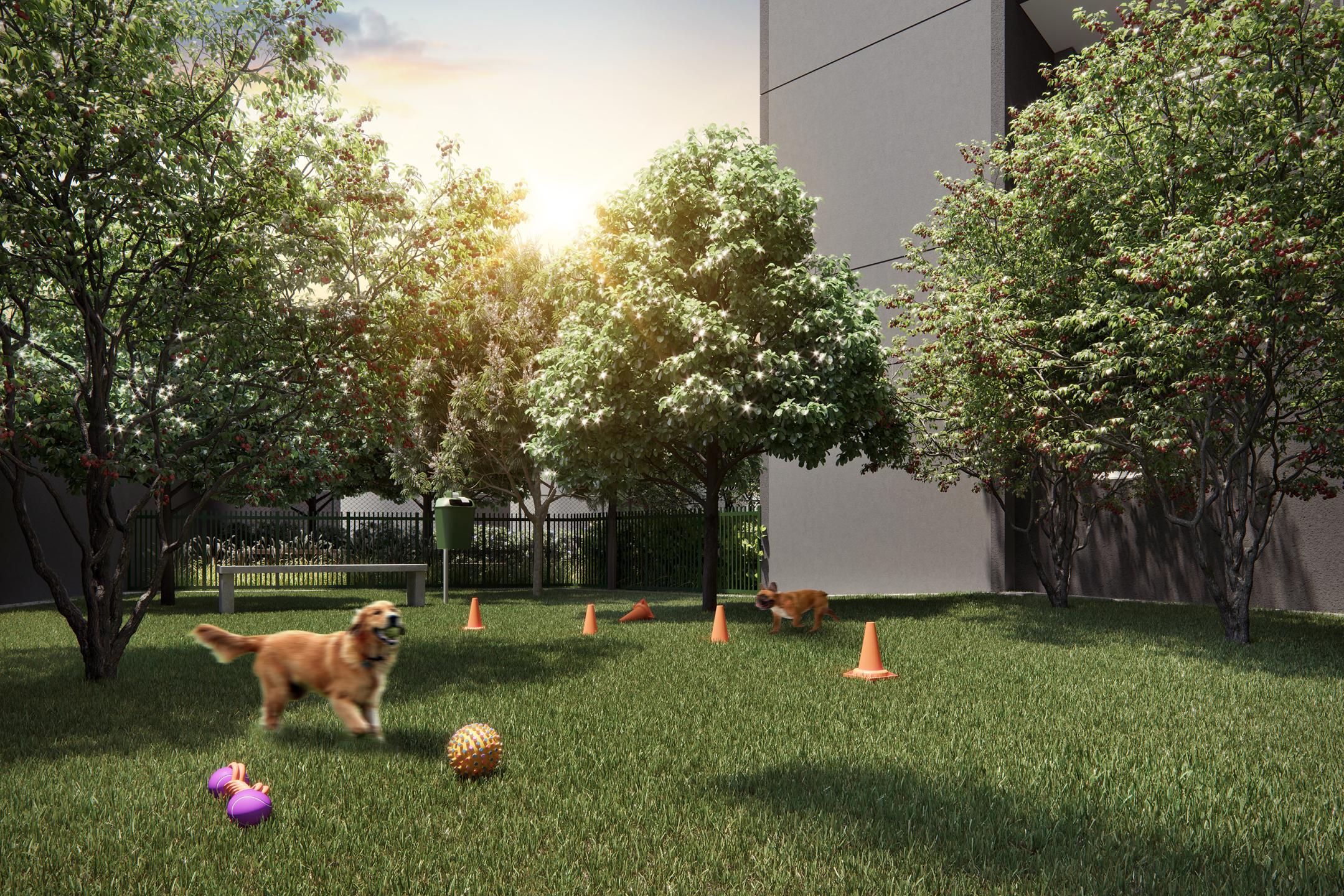 Pet Place