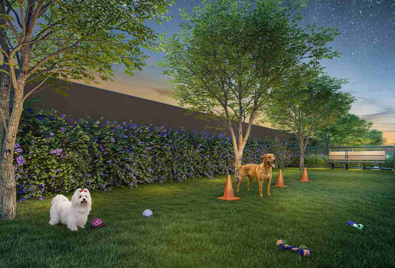 Pet place